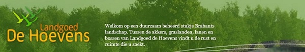 Glazenwasserij Rinie Hoevens